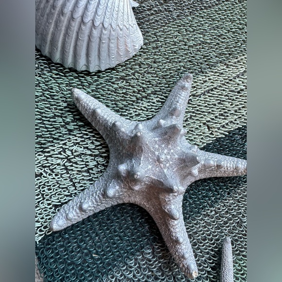 Small Plastic Silver Seashell and Starfish Decor Set - Picture 5 of 8